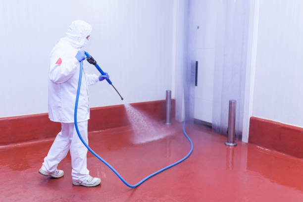 Paint Preparation in North Decatur, GA